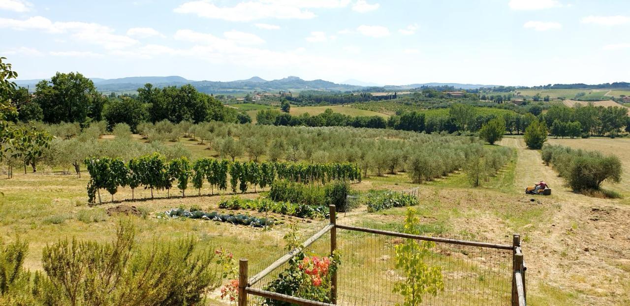 Casina Di Pacina Villa Abbadia di Montepulciano Eksteriør bilde